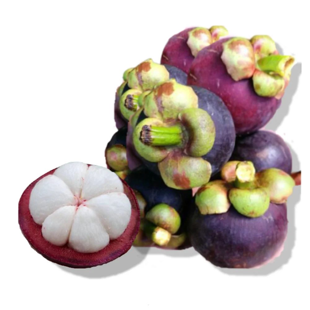 
High Quality from Thailand Sweet Taste Natural Tropical Fresh Mangosteen Fruit 