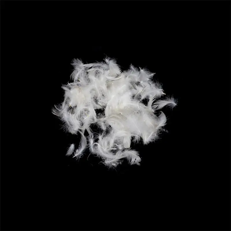 Good Quality Bulk 2-4cm White Duck  Feather Filling For Hotel Pillow