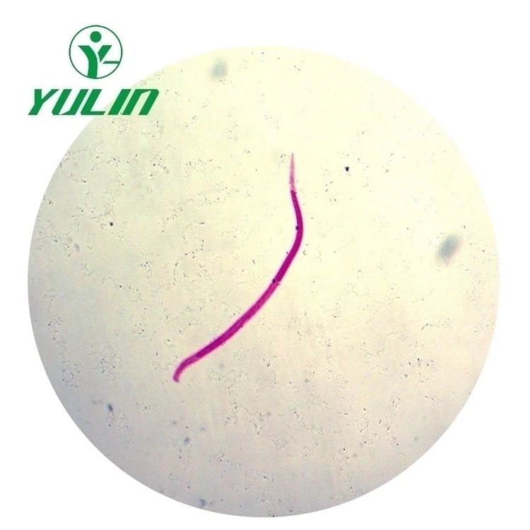 Set of 50 Medical Parasitology Slides Medical Science Microscope Slides