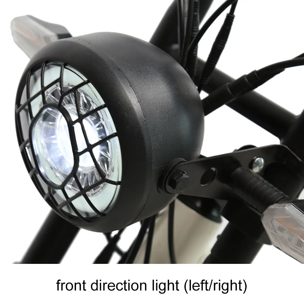 TXED New model electric bicycle 1000w electric motorcycle e bike with 2 battery