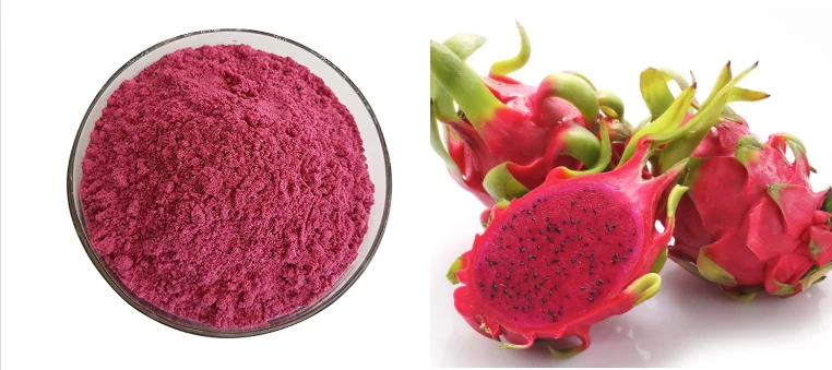 Hot Selling Red Dragon Fruit Powder Pitaya Fruit Powder Pink Pitaya Powder Extract
