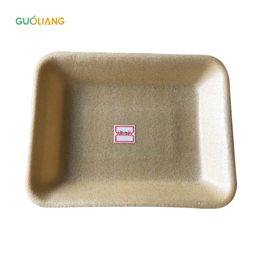 Disposable 100% Biodegradable Pla Foam Frozen Food Use Tray