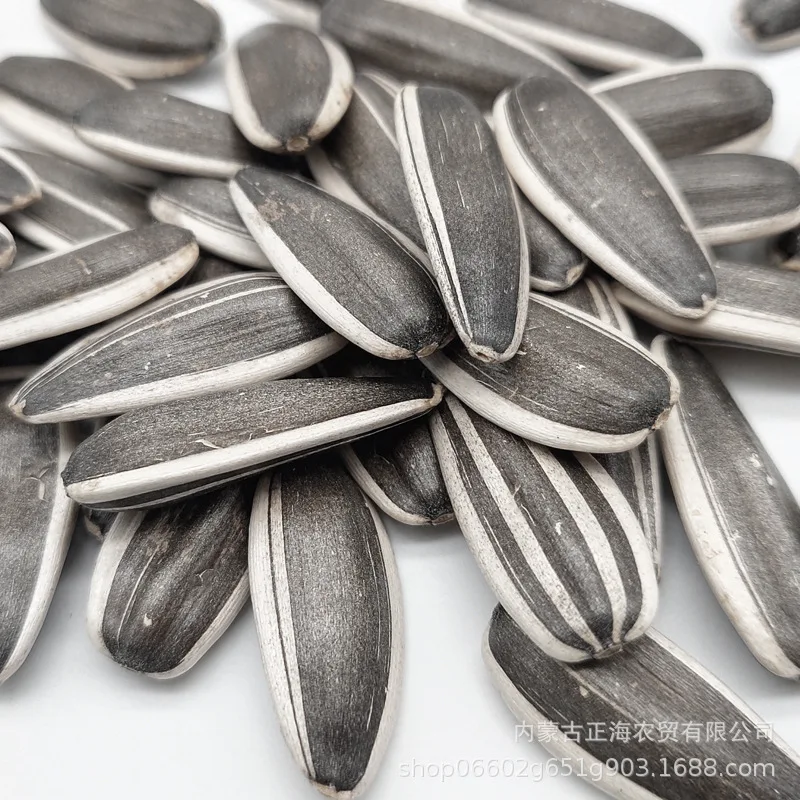 
Chinese factory supply top grade quality seeds sunflower 361 