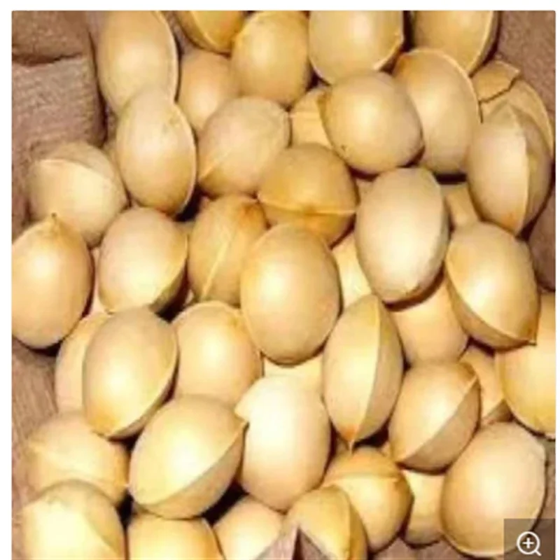 Wholesale 1/6 ginkgo nuts peeled raw & kernels ginkgo biloba bulk suppliers