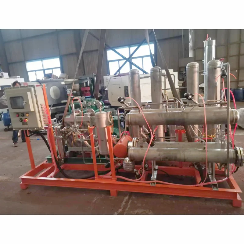 Fast Delivery Oxygen Gas Separation Unit Pollution-Free 99.9% Membrane Oxygen Concentration Plant for Fermentation