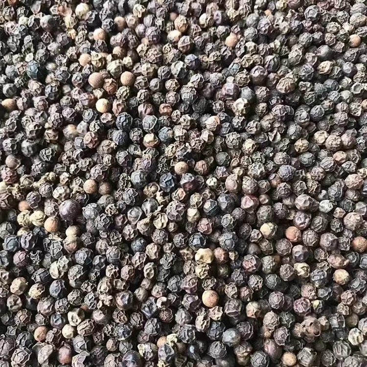 New crop Wholesale Chinese dried spices and herbs seasoning black peppercorns black pepper