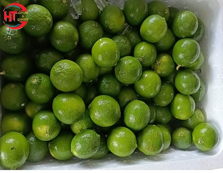 Оптовая продажа, органический зеленый лимонный зеленый лайм без семян лайма