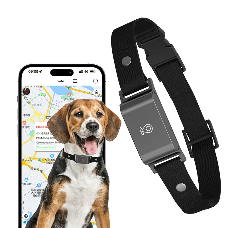Accurate GPS Pet Tracker IP67 Waterproof Nylon 4G Network Anti-Lost Function Android OS for Cat and Dog Management