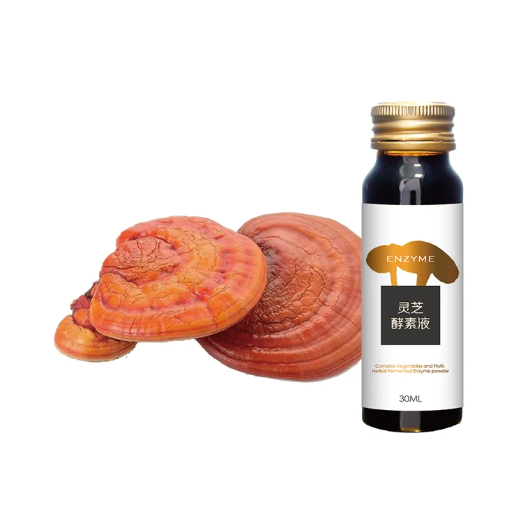 
Hot Sale Regulate Immune System Ganoderma Lucidum Extract Enzyme Oral Liquid 