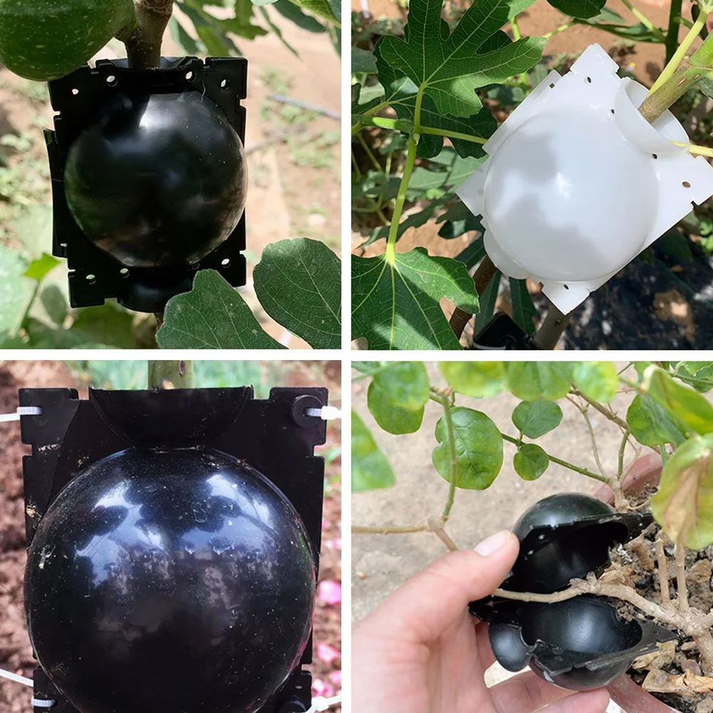 Plant Rooting Grow Box Plant Root Propagation Ball Container Grafting Box to Root Booster for Outdoor Garden