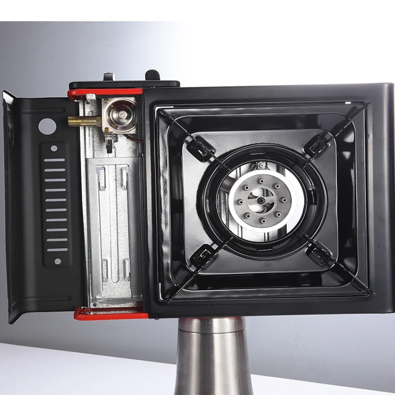 Professional Outdoor Stainless Steel Gas Grill Customized Dual Portable Burner Gas Grill