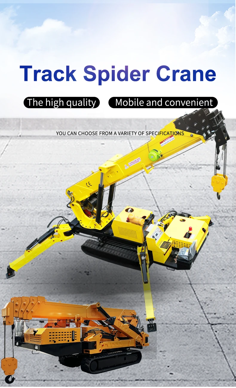 mini crawler crane (1)