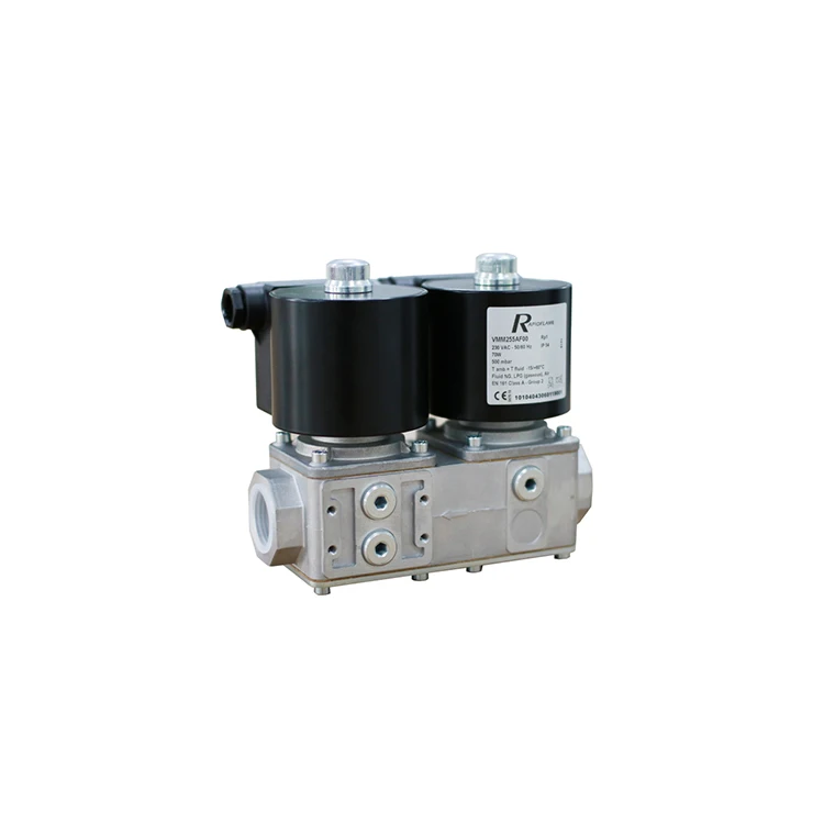 Superior Quality High Pressure Natural Valves Gas Solenoid Valve