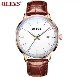 OLEVS 6609 Luxury Automatic Simple Watches Fashion Rose Gold  Swiss Movement Self Winding Mechanical Waterproof Sport Men Watch