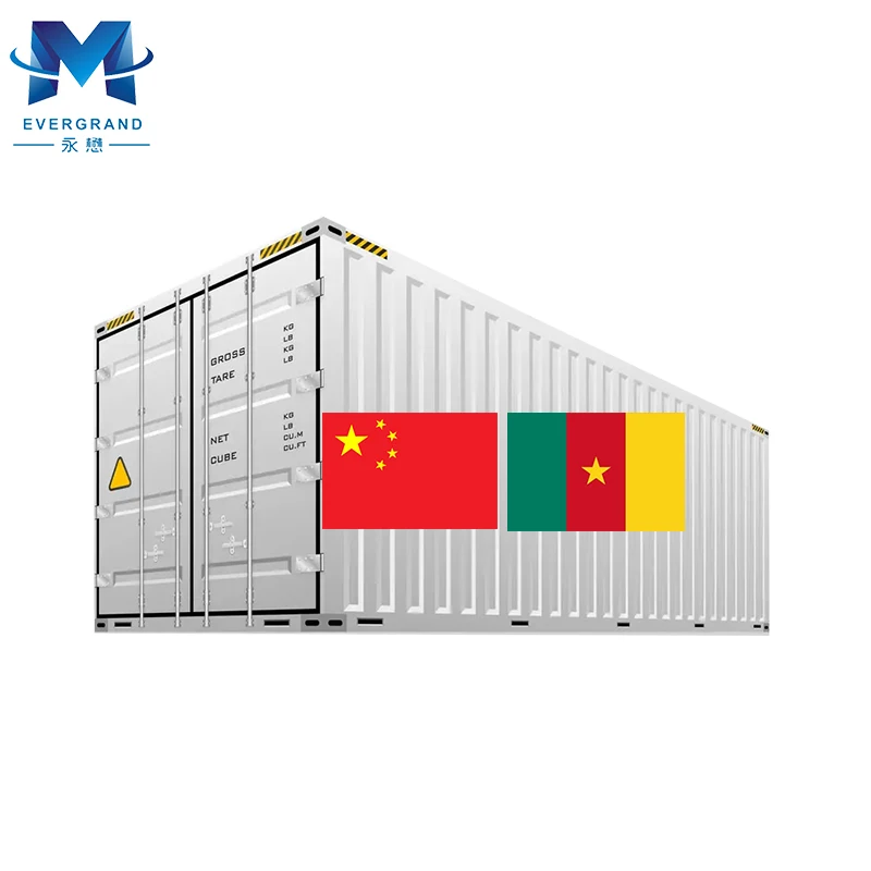 Sea Transport China to Cameroon Freight Forwarder Shipping Agent 20ft 40ft Container Douala Warehouse Storage