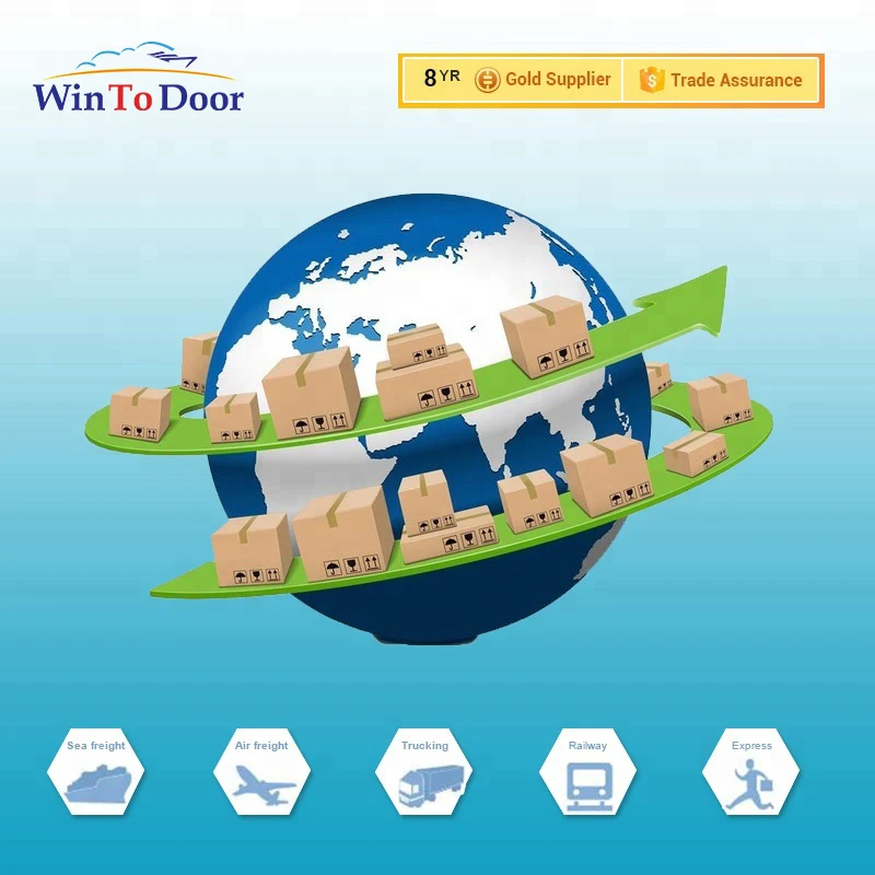 Top forwarding agent best sea shipping cost China to Europe Germany UK Canada USA