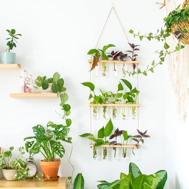 NISEVEN Hot Sales Decor Hanging Plants Rack Wall Mounted Plant Stand With Propagation Tubes 3 Tiered Wall Hanging Terrarium