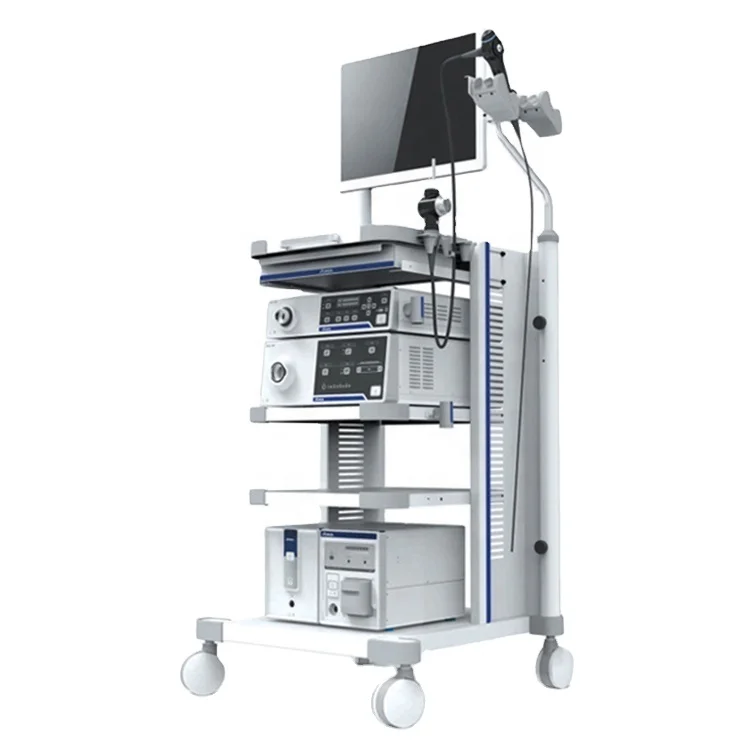 Flexible Video Laryngoscope Endoscope/ Camera Endoscope Price