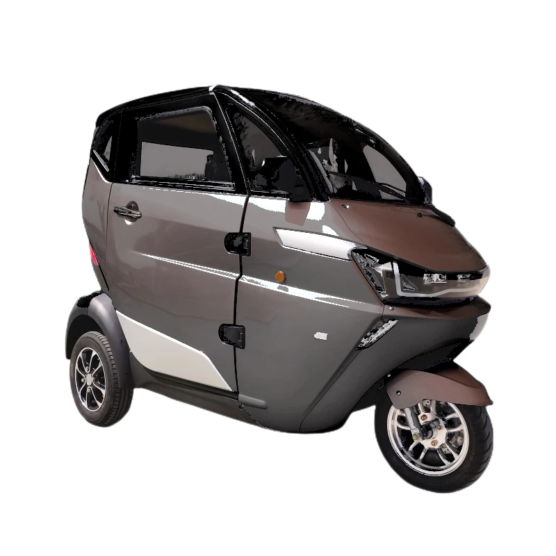 China EEC Certification Electric Mini Closed Cabin Tricycle for Adults