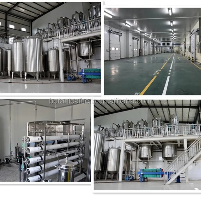 B.C.I Supply Yerba Mate Extract/Ilex Paraguariensis Leaf Extract With Low Price