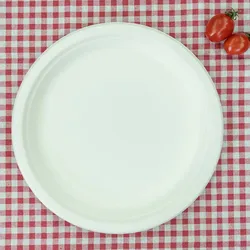 wholesale biodegradable sugarcane tableware disposable bagasse 10 inch compostable paper plates