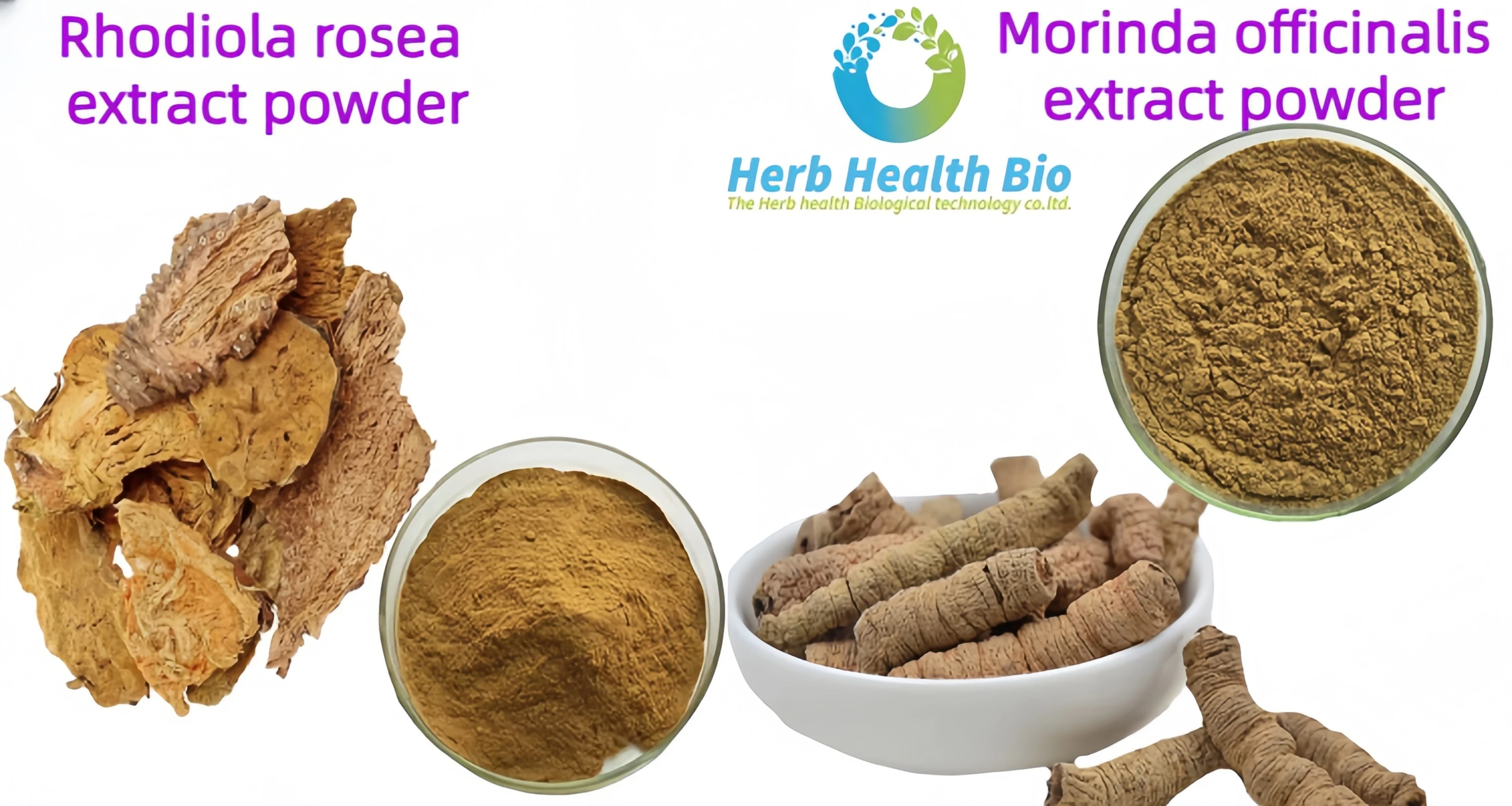 Экстракт корня Morinda Officinalis порошок капсулы мужской улучшающий энергию богатые витаминами травяной пластиковый контейнер для еды GMP
