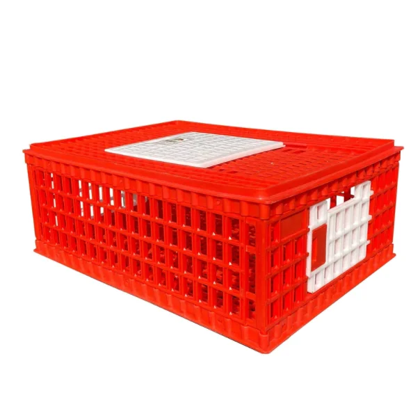 Plastic chicken used poultry carrier crates poultry transport cages