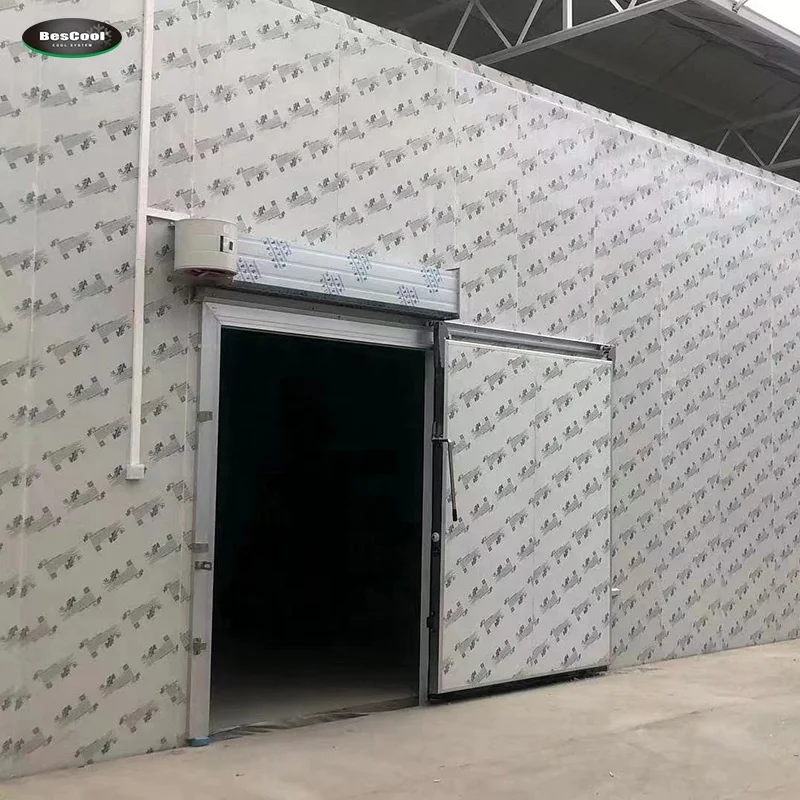 cold room hinged door PU sandwich panel  plate 10/12/15cm for Bescool freezer  storage bin container Cooling stainless  steel