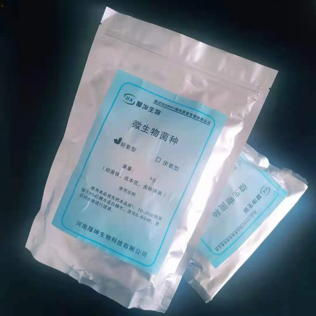 Anaerobic bacteria factory supply Living bacterium content:10 billion/g , strains for water treatment