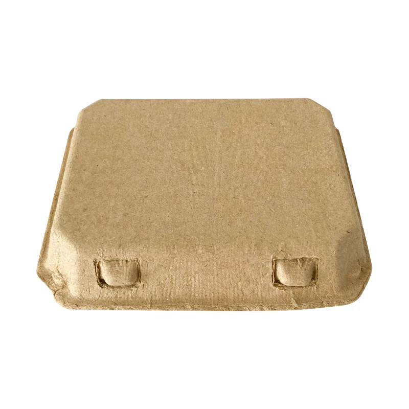 factory wholesales biodegradable paper fiber egg container 12 holes chicken cells carriers with lid rigid strong durable egg box