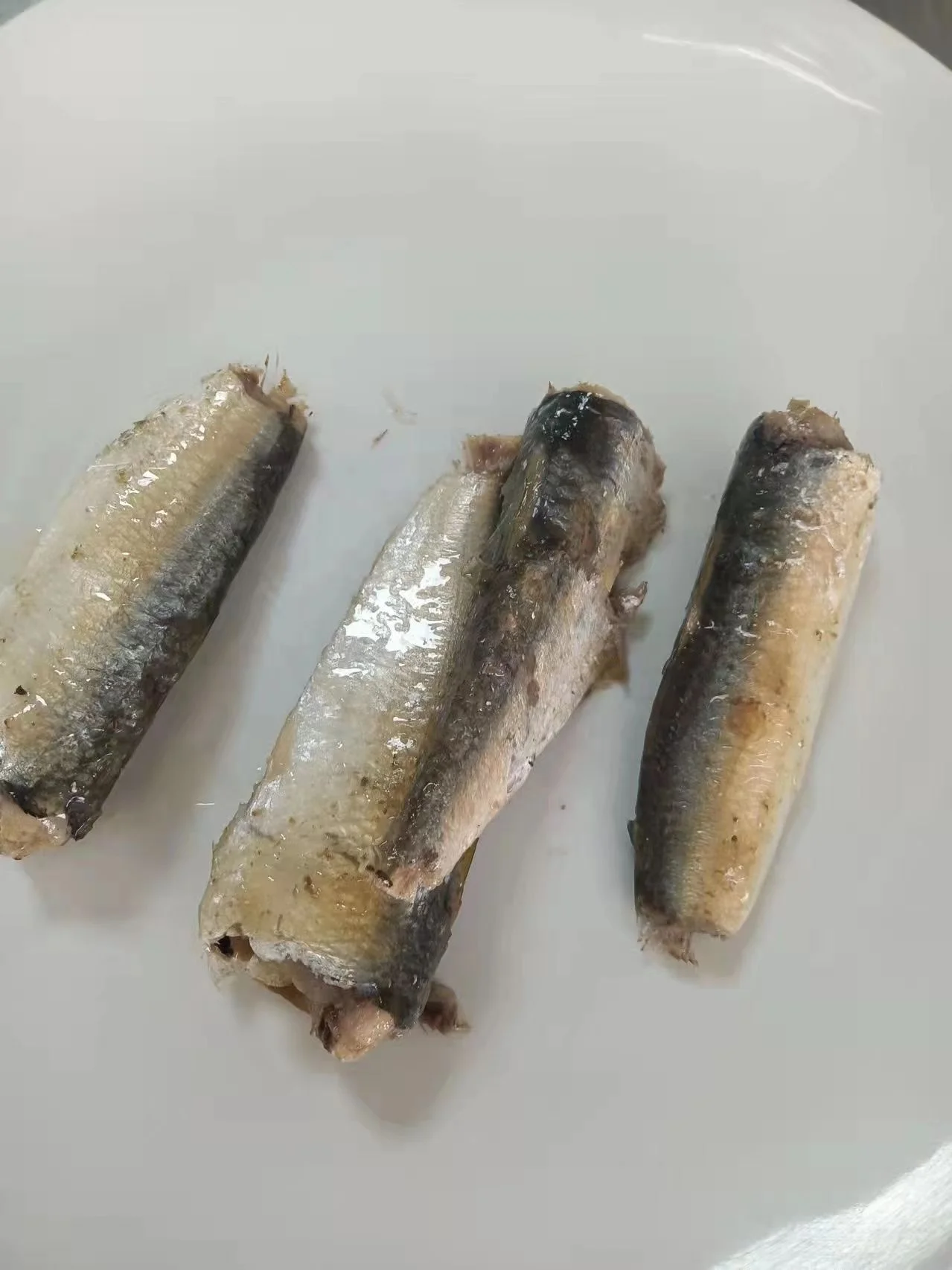 Morocco Quality Canned sardines in oil ,Canned Mackerel Canned fish Canned Tuna Canned Sardines Supplier
