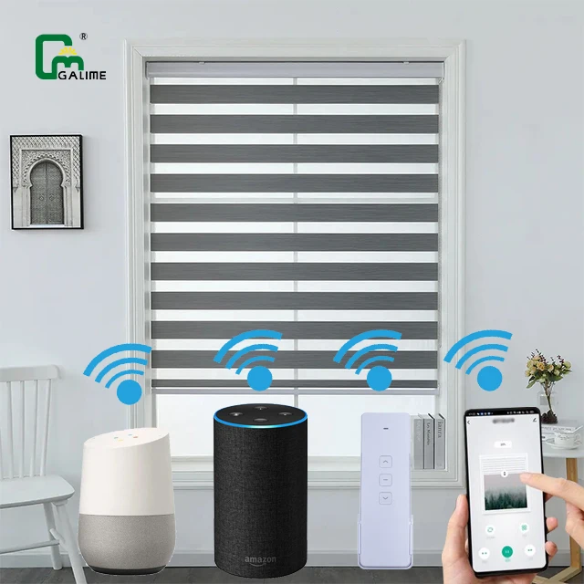 Galime Custom Size  220V Zebra Roller Blinds Dual Layer Shades Light Filtering Day and Night motorized Roller for Home