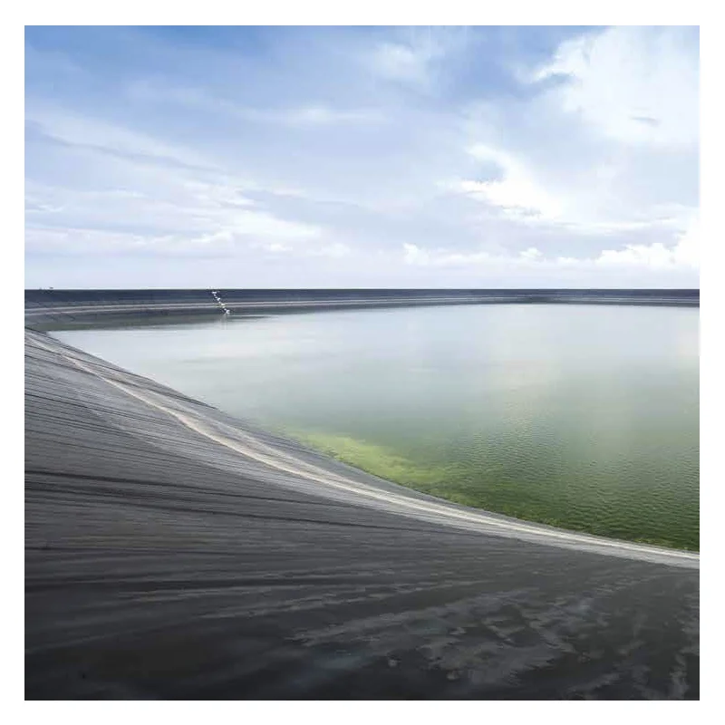 Подгонянная фабрика HDPE 1 мм 5 2