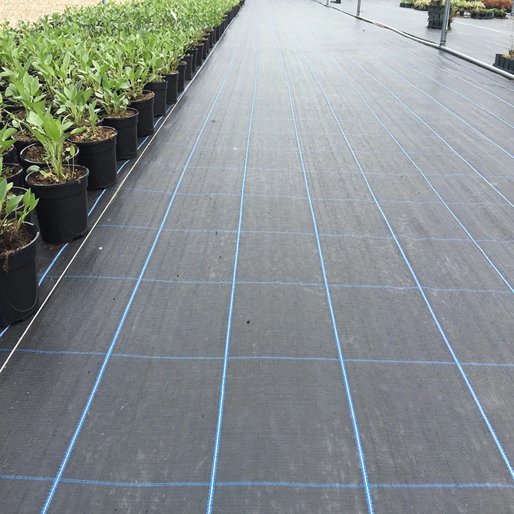Agricultural Polypropylene Ground Cover Mesh Black For Flower Bed