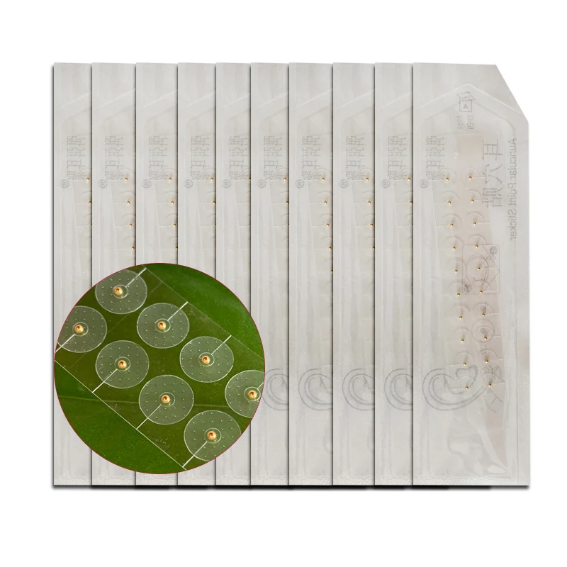 Popular Products 2024 Chinese Medicine Ear Seeds Acupuncture Kit Ear Seeding for Weight Loss Seed Bead Earing