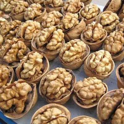 nuez factory supply xinjiang dry fruit raw walnut paper shell