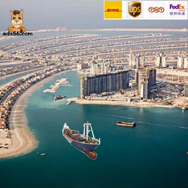 Dropshipping Agent Fast Shipping to Danmark Poland Door To Door Dropshipping-whatapp: +8615527781805