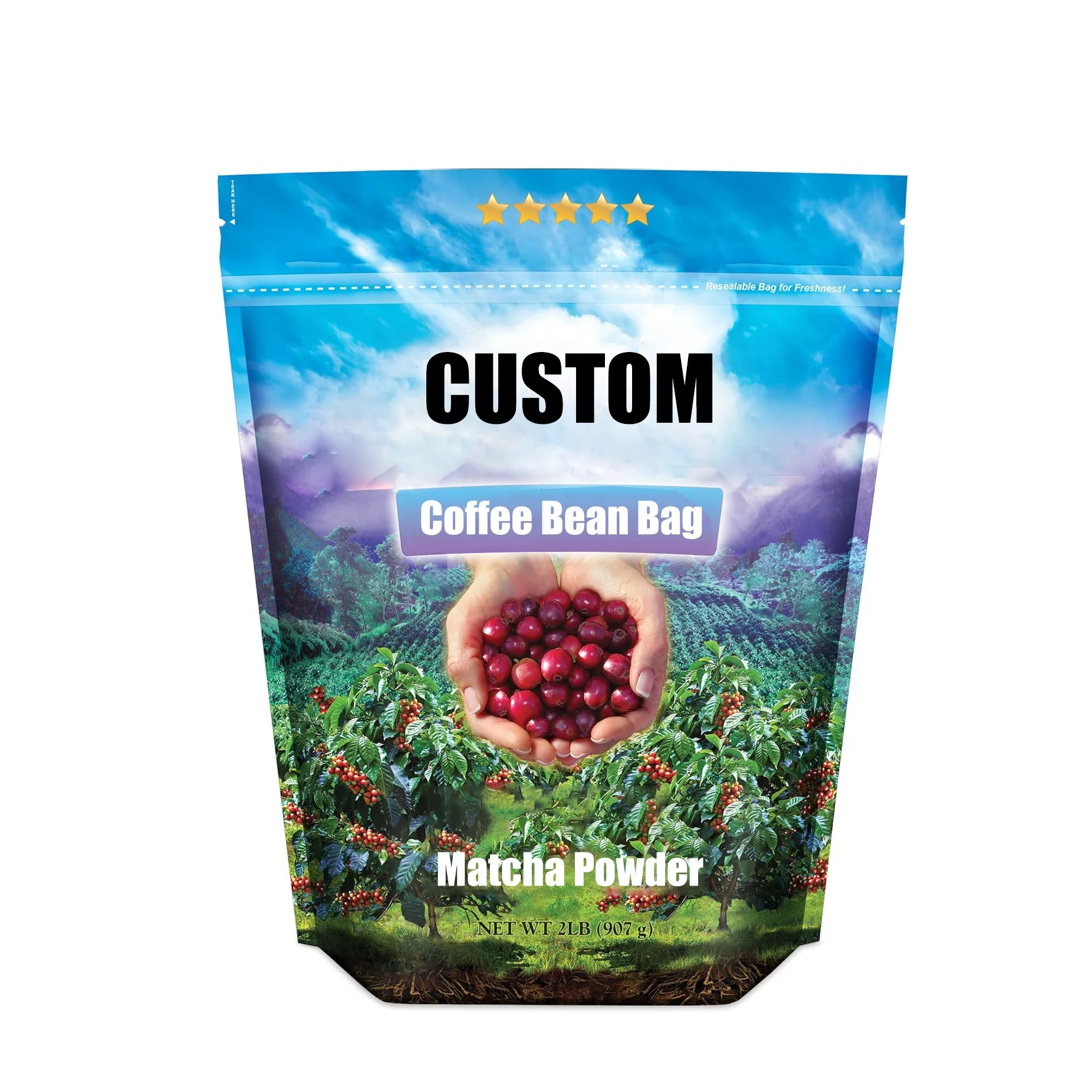 Customized Food Mylar Pouch Pet Treat Bag Heat Seal 3.7g 1oz Tea Coffee Bean Plastic Zipper Dried Blueberry Vertical Sealing Bag