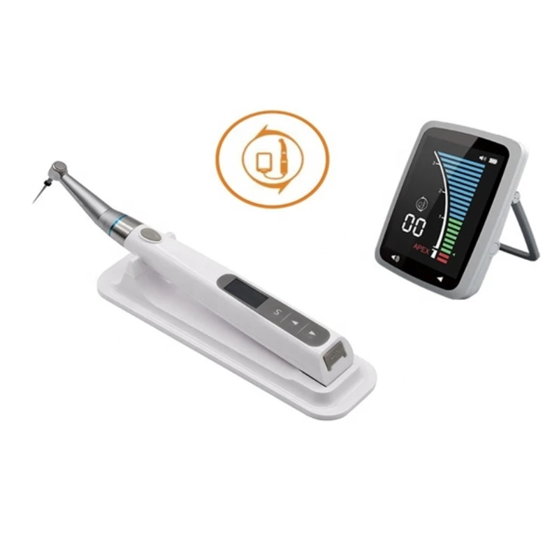 rogin dental Hot Selling Dental Endodontics Root Canal Meter/Electronic Apex Locator