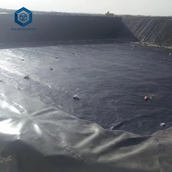 Impermeable Plastic 2mm HDPE Geomembrane Sheets Rolls Pond Liner for Landfill in South Africa