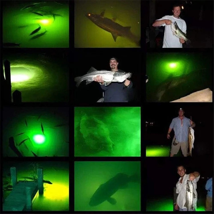 fishing light (9).jpg