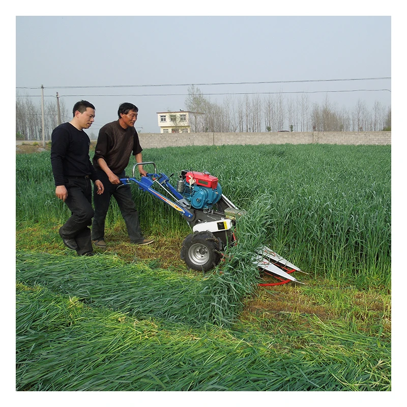 Miwell 4G120D машина для резки пшеницы из Индии