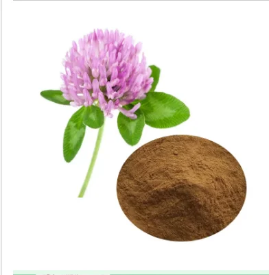 Competitive Price Red Clover Extracted Powder 8% Isoflavones China Factory
