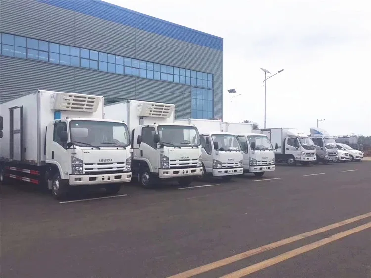 ISUZU 700P (2).jpg