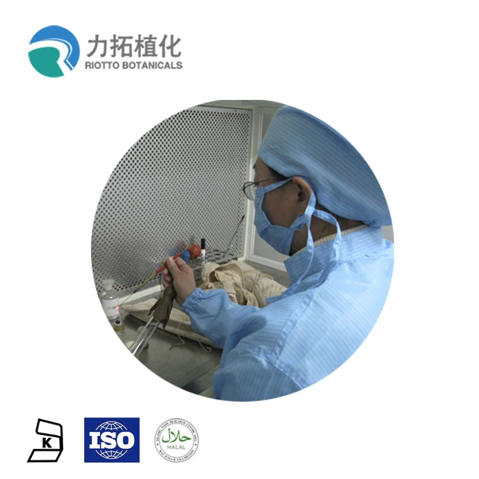 
Hot selling Food Grade BP sorbitol 70% Sweetener D-Glucitol Crystalline Sorbitol 