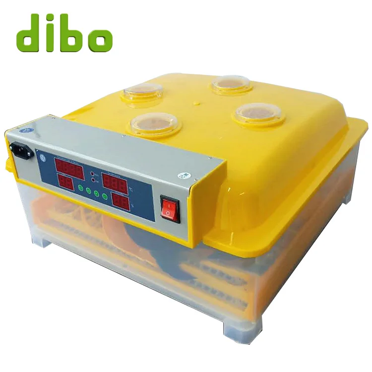 hatch solar laboratory shaker incubator chicken eggs fully automatic co2 incubator motor 50 eggs incubator lahore pakistan puppy