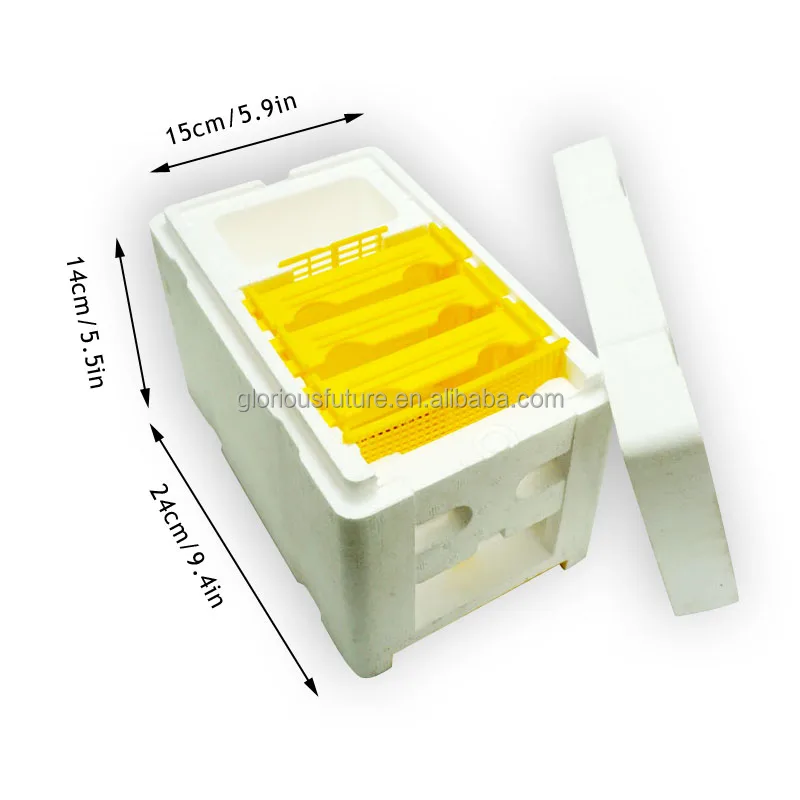 Queen Bee Mini Mating Nucs Box Nucleus Bee Hives Apicultura Beehives Apiculture Beekeeping Equipment Tools Supplies