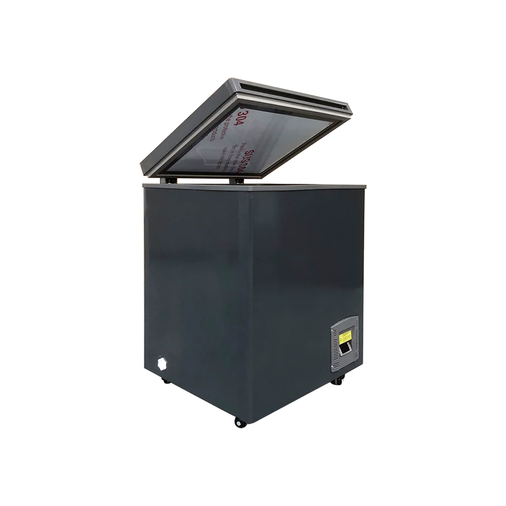 -60C New Style 110L Home Low Working Noise Ultra Low Temperature Chest Freezer DW-60W110