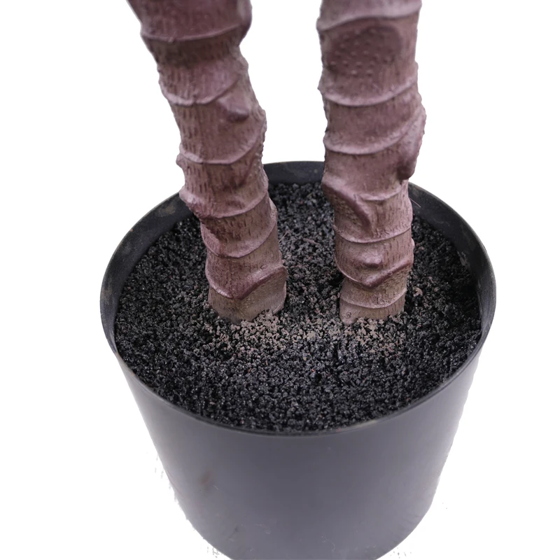 Factory supplier wholesale sisal hemp agave plants for outdoor garden decoration artificial plant tree sisalana bonsai plant