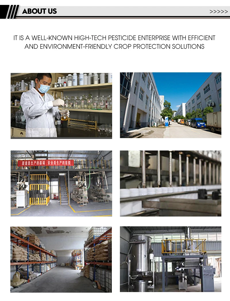 40% difenoconazole SC anthracnose powder leaf spot rust agricultural pesticide fungicide